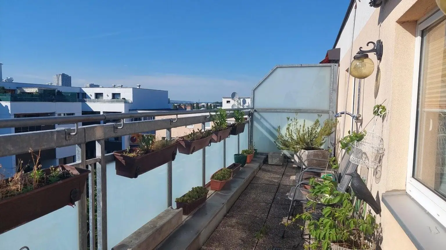 5 Dachterrasse MTW 1220