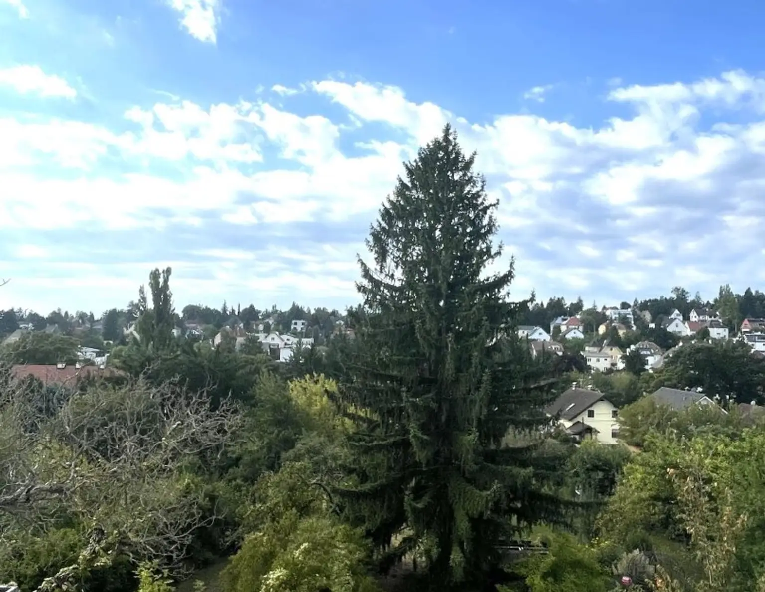 Sonniges Grundstück in 1130 Wien - kein direktes vis-a-vis!