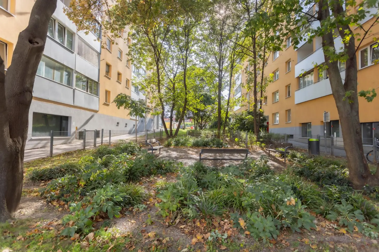 Neu sanierte 4-Zimmer-Eckwohnung im 2. Liftstock