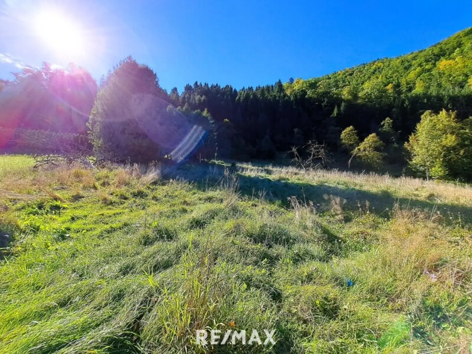 Blick vom Grundstück nach Westen