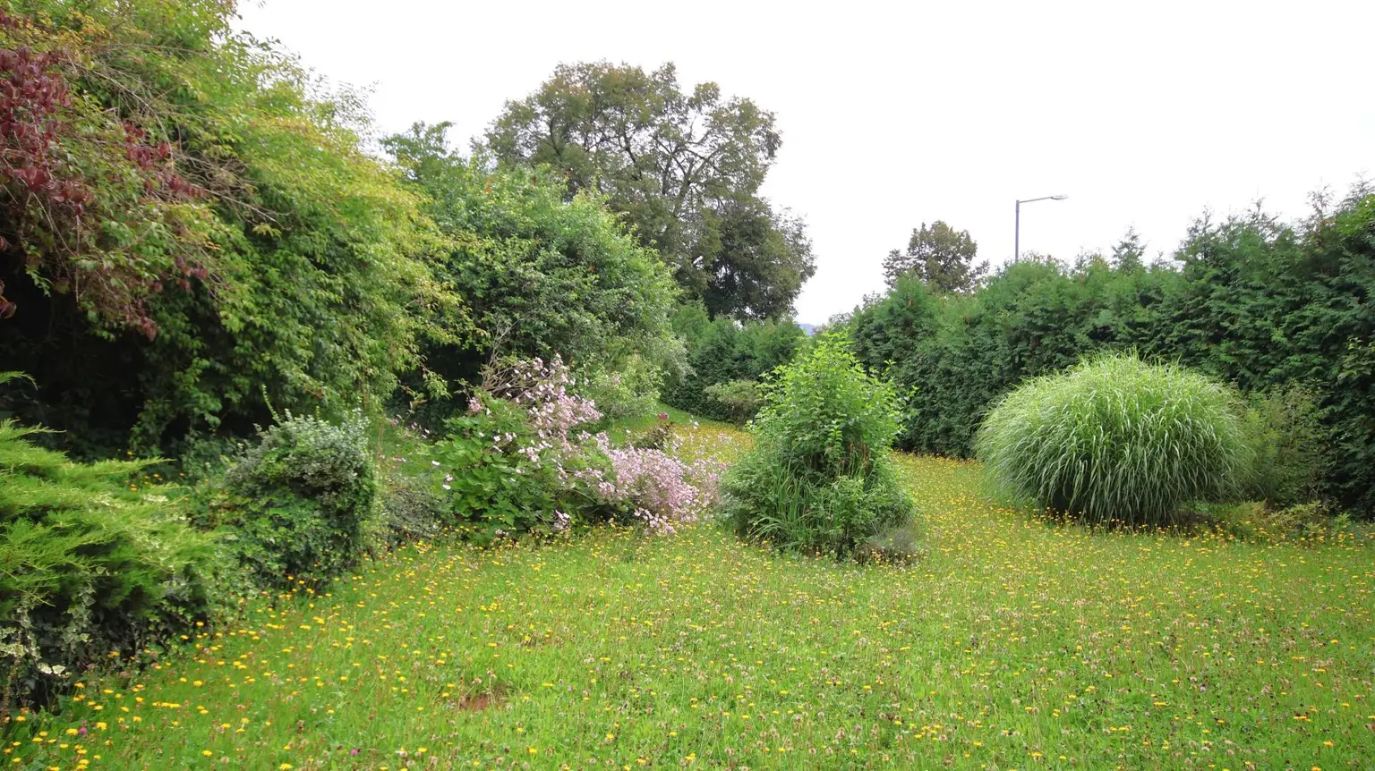 Großzügiges, sanierungsbedürftiges Altbauhaus mit Charakter und Potenzial