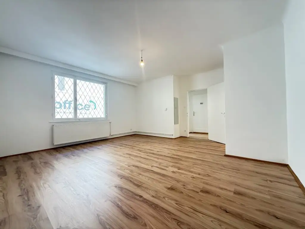 IM HERZEN VON NUSSDORF: Single Apartment I  Erstbezug nach Renovierung I Heurigennähe I Nussdorfer Weinberge