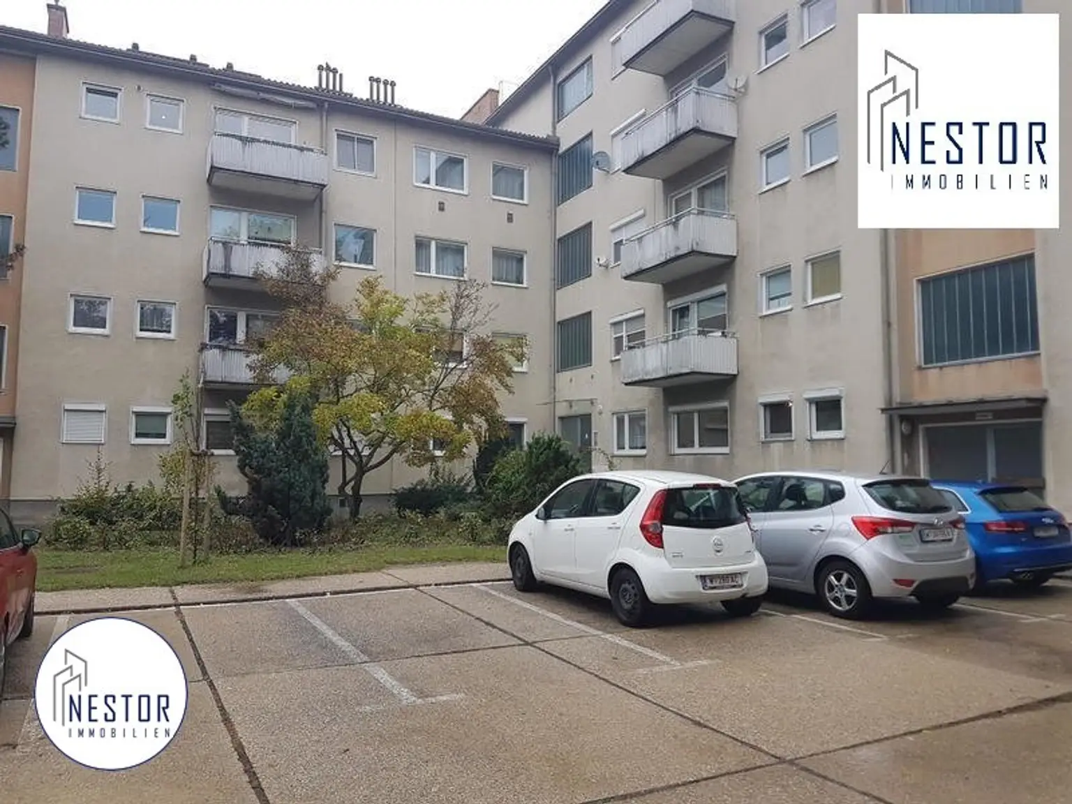 Wohnung - NESTOR Immobilien