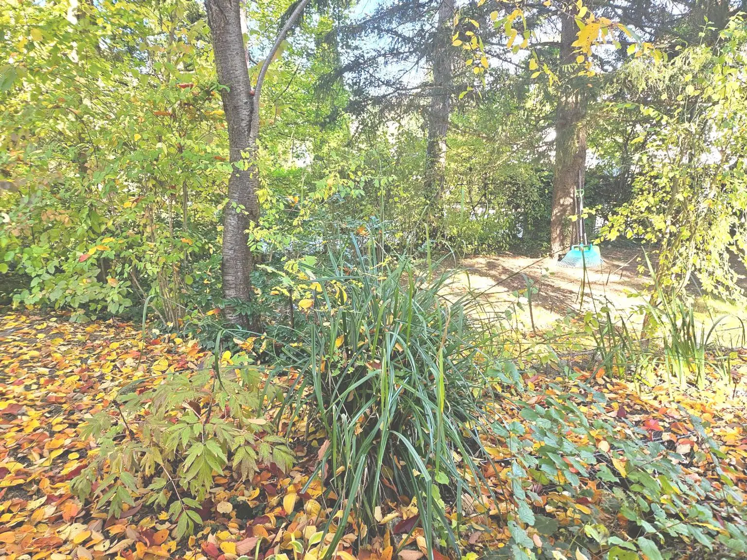 Baugrund mit Häuschen in ruhiger Lage!