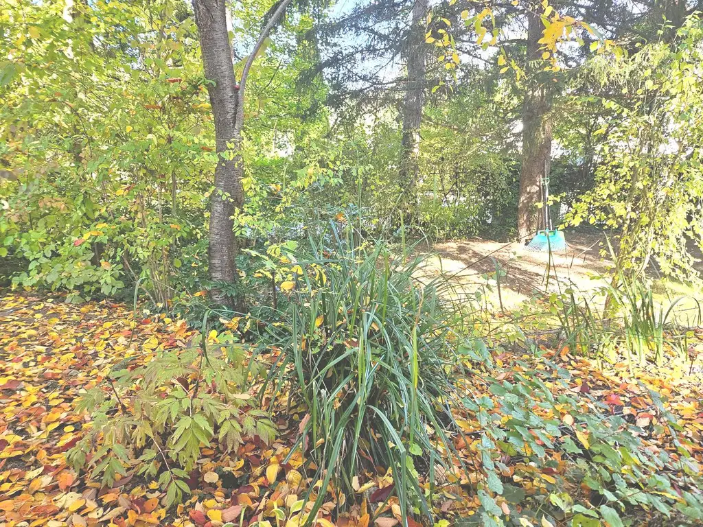 Baugrund mit Häuschen in ruhiger Lage!