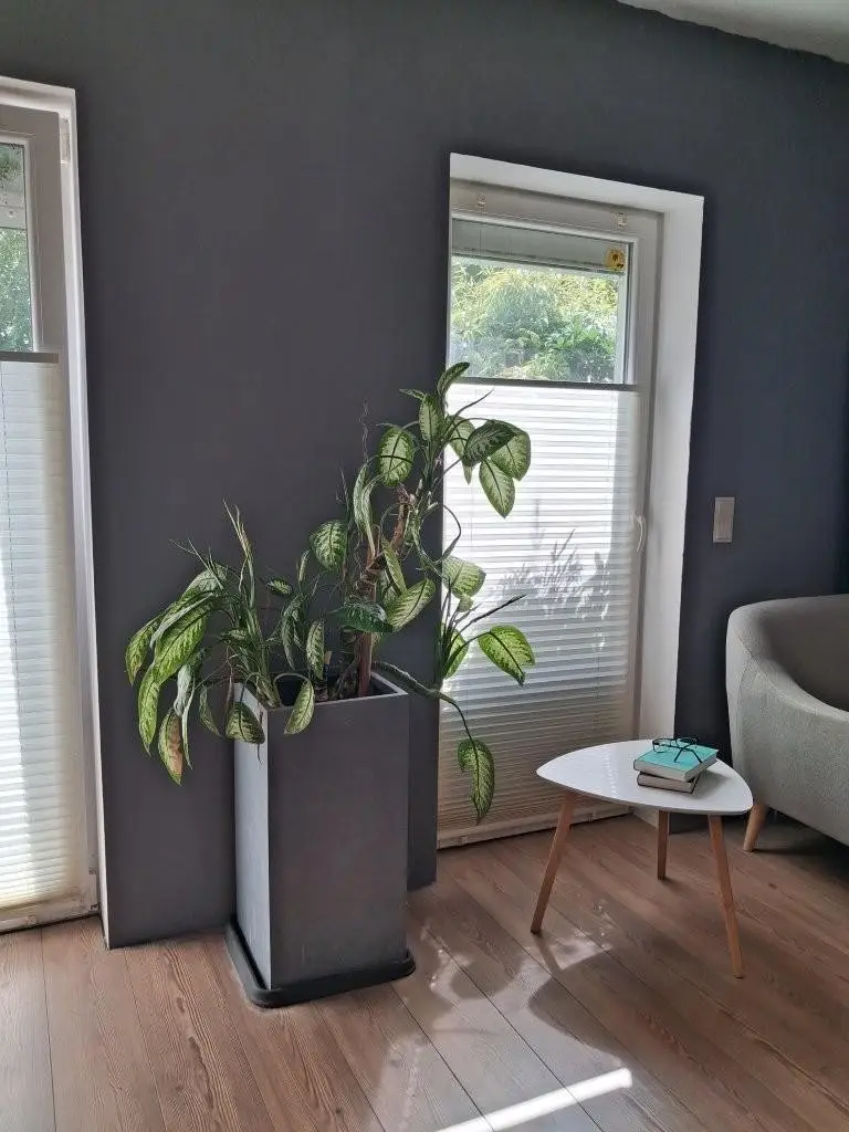 "Glückstreffer - Reihenhaus mit Garten in Deutsch Wagram"