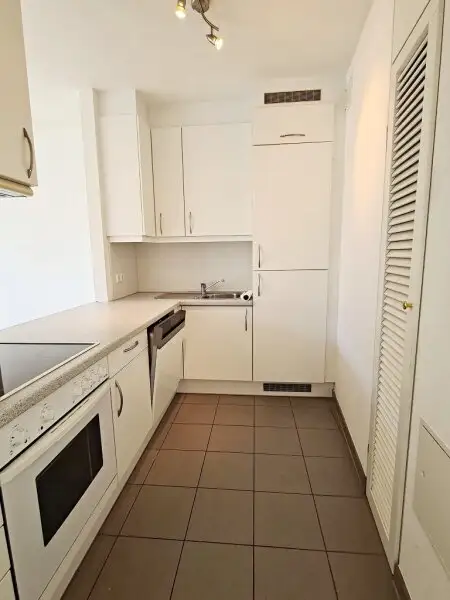 SALZTORGASSE, DONAUKANAL-NÄHE, 51 m2 Neubau mit Stehbalkon, 2 Zimmer, Komplettküche, Wannenbad, Parketten, Fernblick