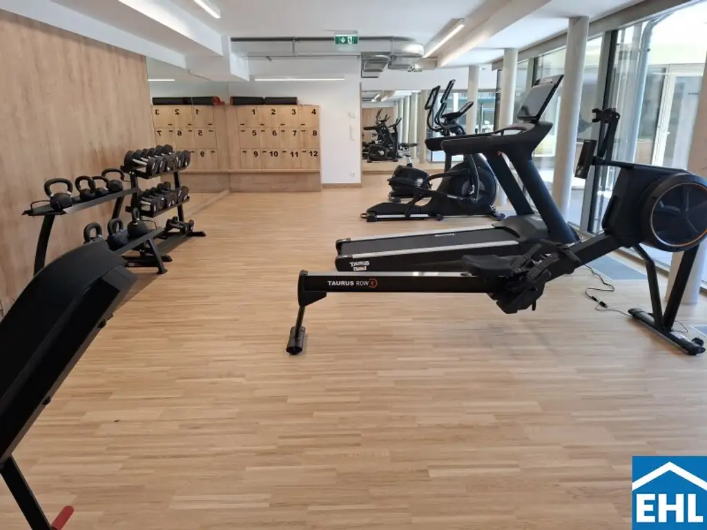 Fitness, Wellness & Work-Life-Balance