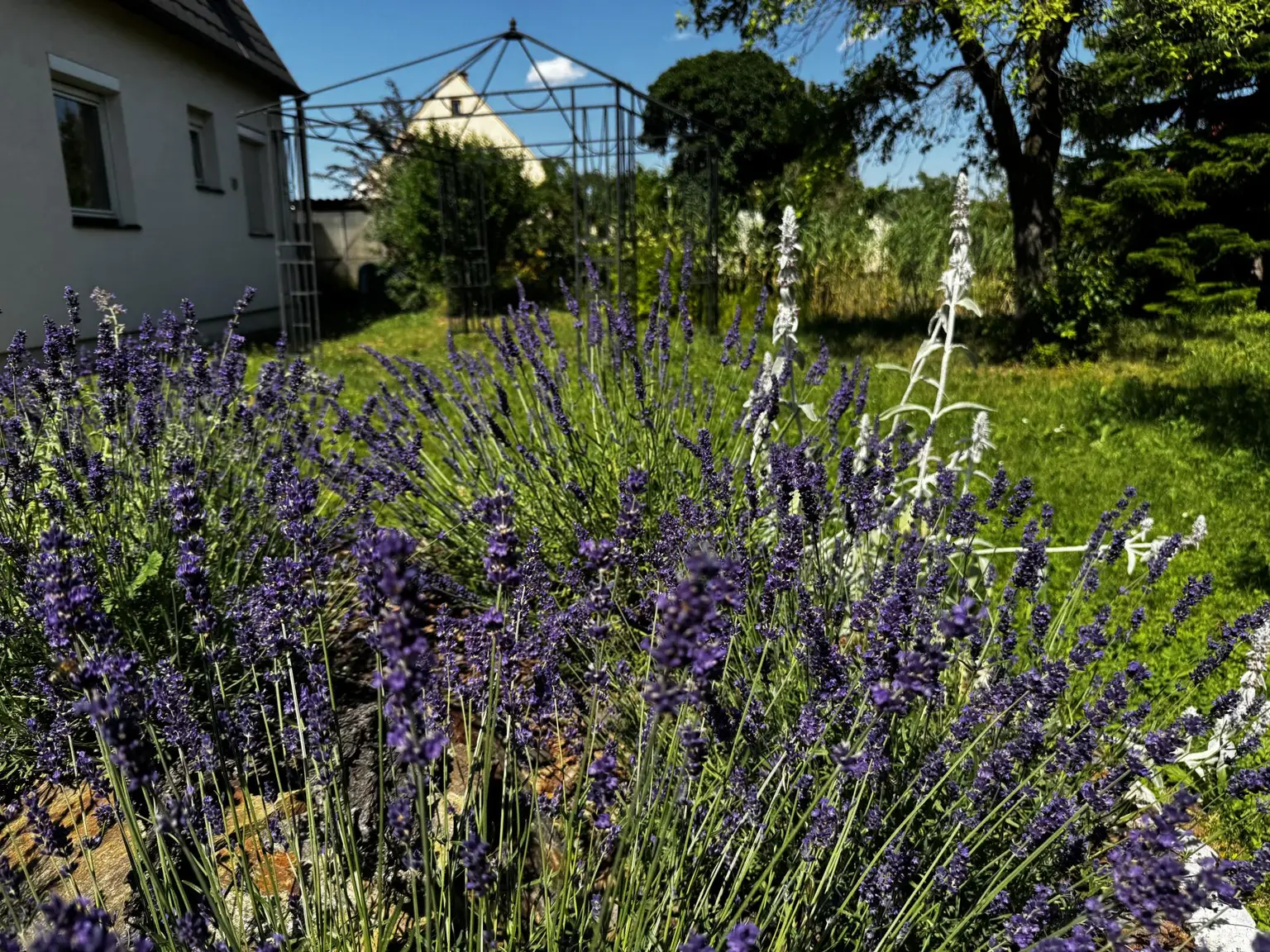 Wohnhaus inmitten vom Gartenparadies