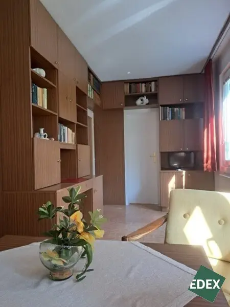 Charmante 1-Zimmer-Wohnung mit Blick ins Grüne in Wien Brigittenau