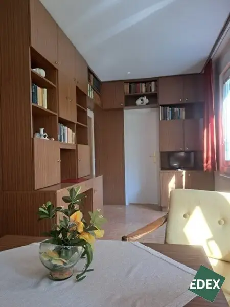 Charmante 1-Zimmer-Wohnung mit Blick ins Grüne in Wien Brigittenau