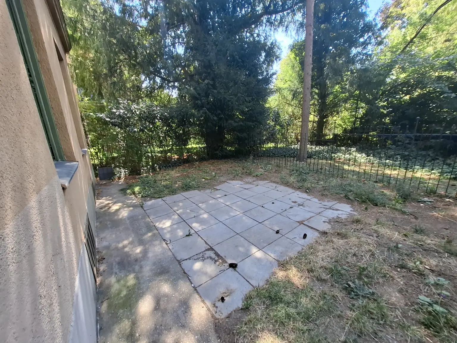 20260806_104431