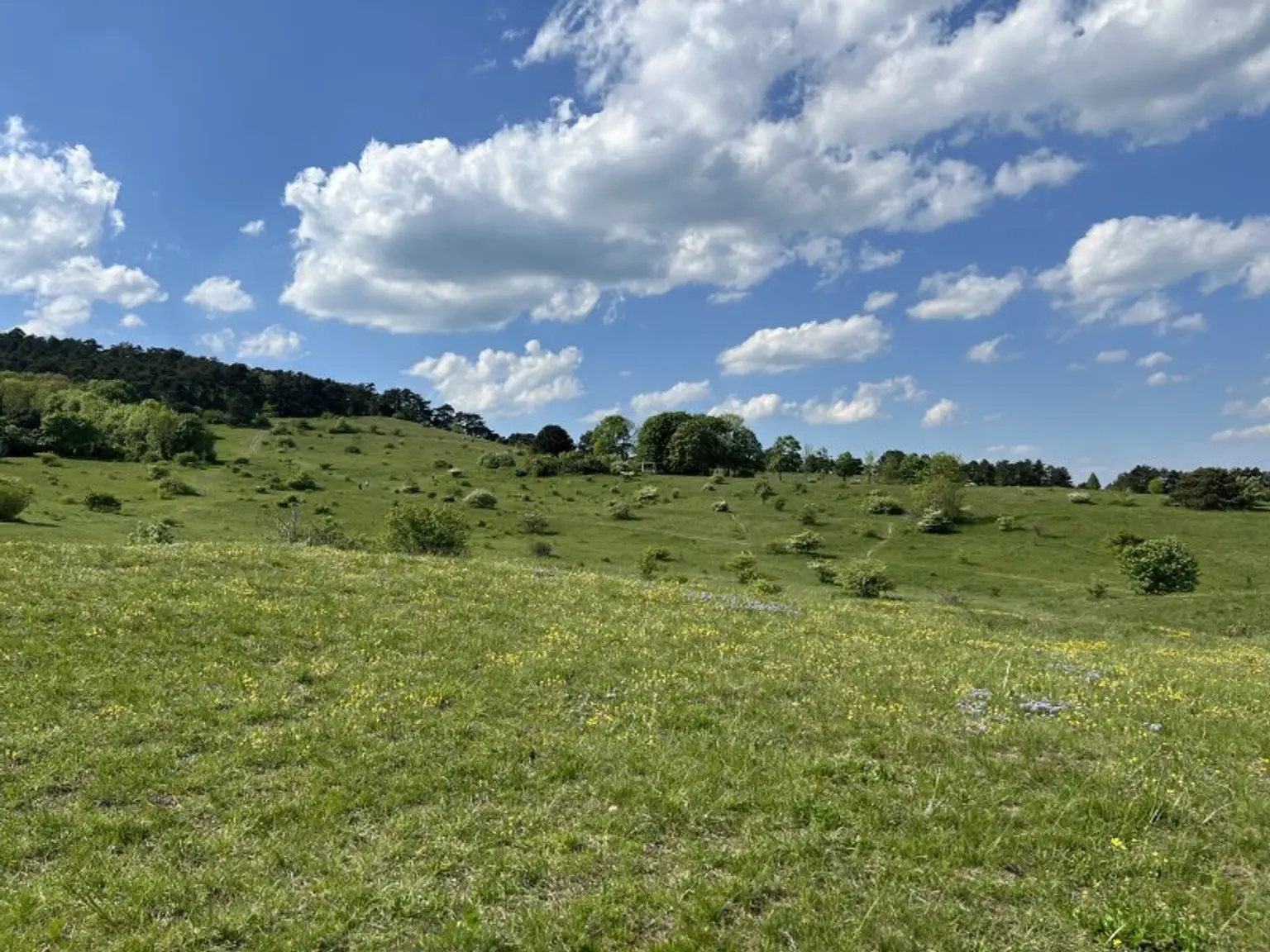 Gut aufgeteilte 3-Zimmer-Dachgeschosswohnung mit Balkon zu verkaufen!