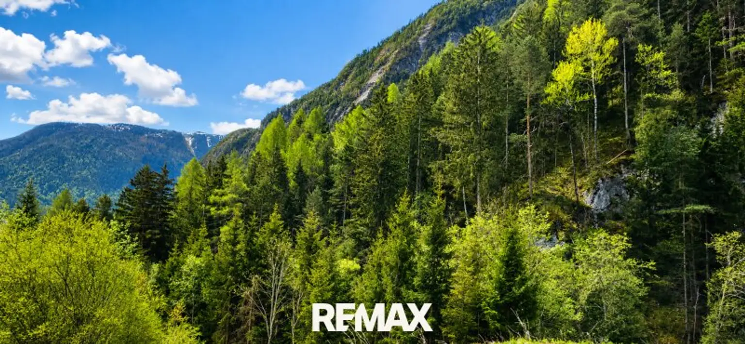 Wald
