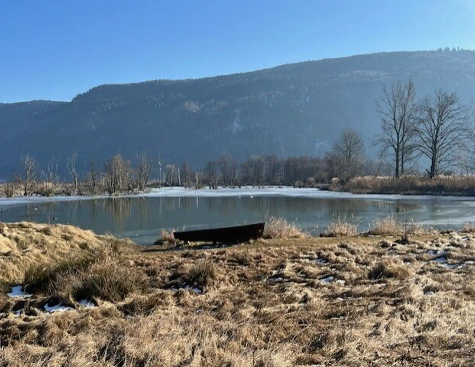 Einmaliges Baugrundstück am Bleistätter Moor - 150m zum Ossiachersee