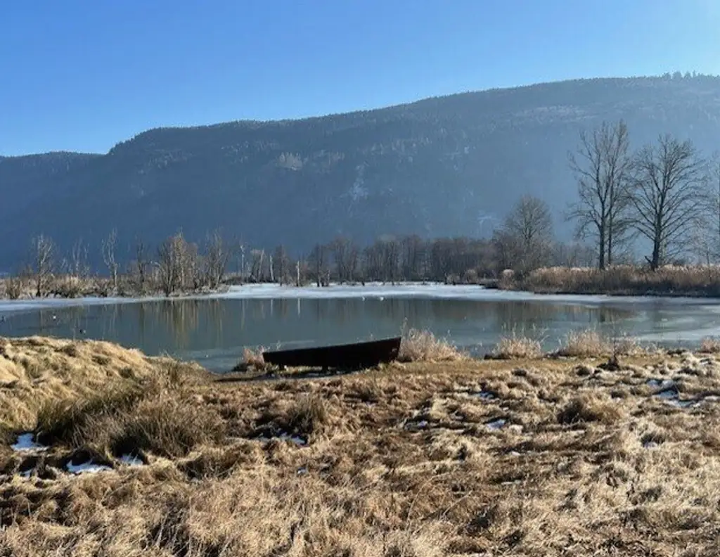 Einmaliges Baugrundstück am Bleistätter Moor - 150m zum Ossiachersee