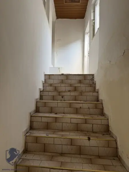 Charmantes Presshaus mit historischem Weinkeller & Entwicklungspotenzial – seltene Gelegenheit!