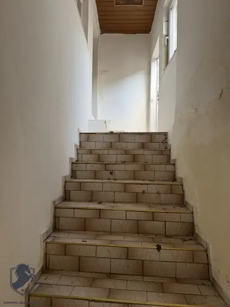 Charmantes Presshaus mit historischem Weinkeller & Entwicklungspotenzial – seltene Gelegenheit!