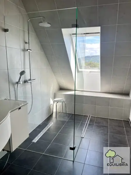 Traumhafte DG-Wohnung im Zentrum von Klosterneuburg -  57m2 große  Dachterrasse - Gekühlt  - Garage - Gartennutzung!