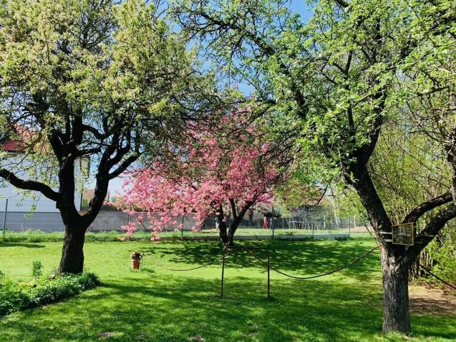 Sehr viel Platz im Haus und auch im traumhaften Garten