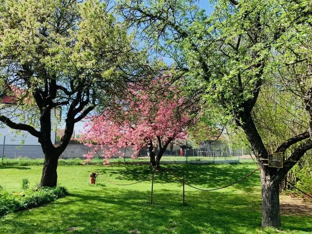 Sehr viel Platz im Haus und auch im traumhaften Garten