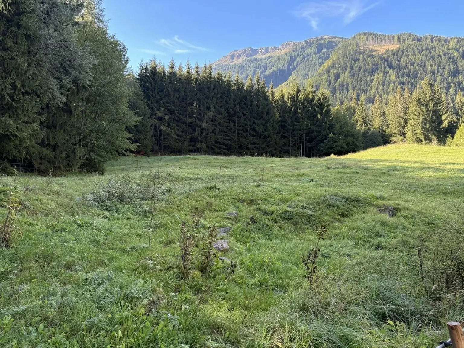 Sautens - Grundstück