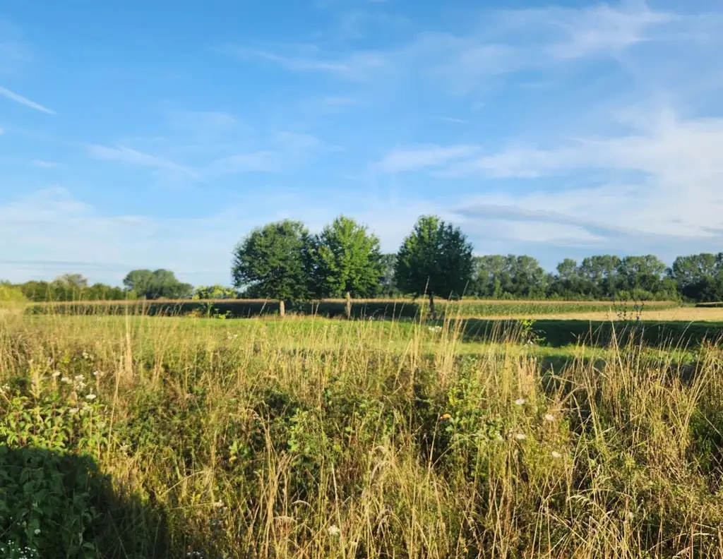 EINE SELTENE GELEGENHEIT AUF EINE KLEINE ACKERFLÄCHE IN FREUNDORF - ZUSAMMENHÄNGENDE LANDWIRTSCHAFTLICHE FLÄCHE