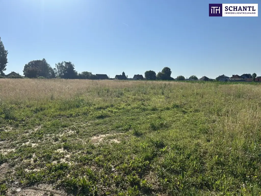 Traumgrundstück mit Weitblick in familiärer Wohnlage! In 8501 Lieboch!