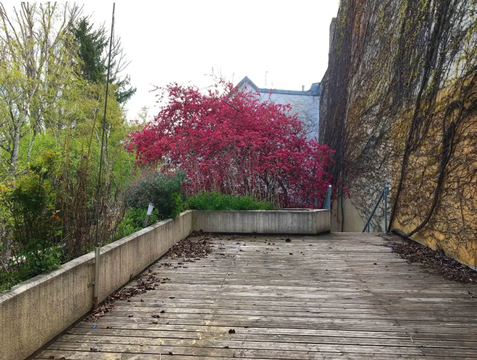 FÜR SINGLES ODER PAARE MIT FIXEM EINKOMMEN - GROSSZÜGIGE WOHNUNG MIT TERRASSE