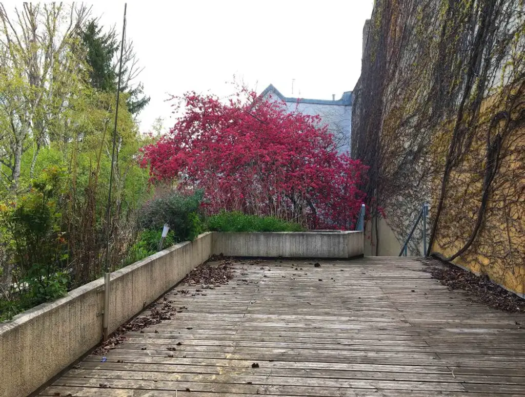 FÜR SINGLES ODER PAARE MIT FIXEM EINKOMMEN - GROSSZÜGIGE WOHNUNG MIT TERRASSE