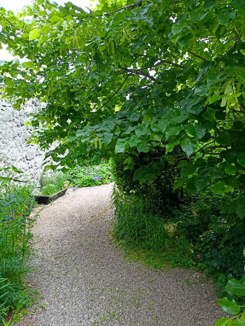 GAADEN bei Mödling: Gründerzeithaus auf großem Grundstück in zentraler Lage!