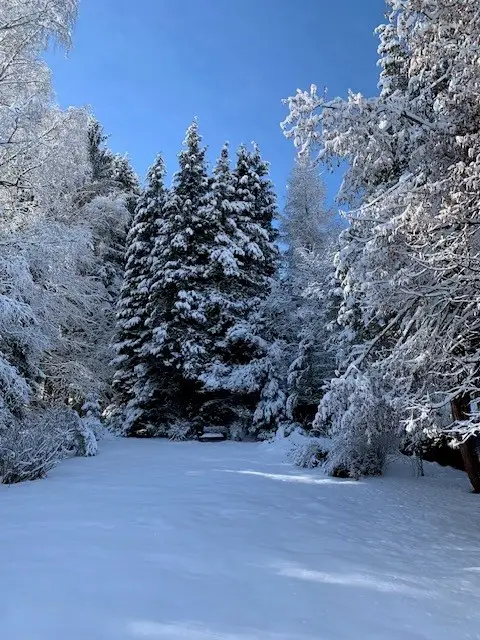 300 Meter von der MITTELSTATION STUHLECK entfernt