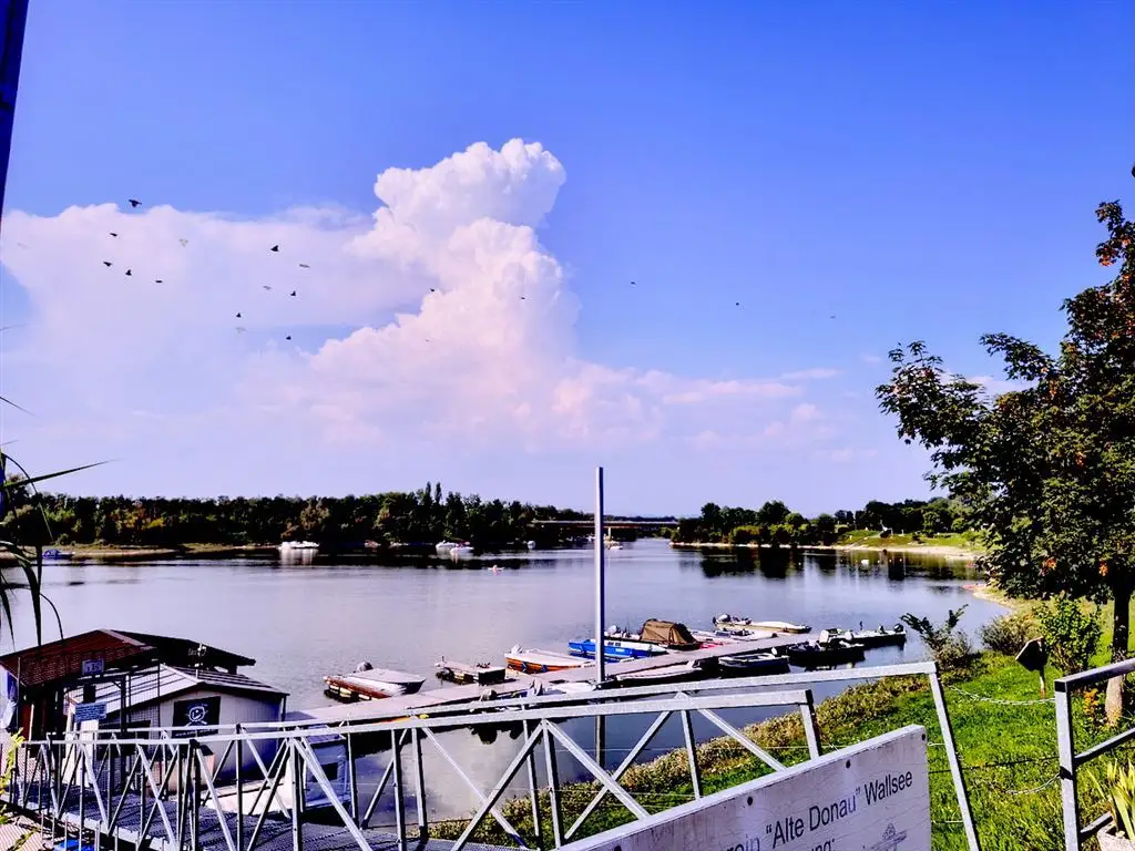 3313 Wallsee/Nähe Donau: Sonniges Baugrundstück in sehr guter, ruhiger Lage