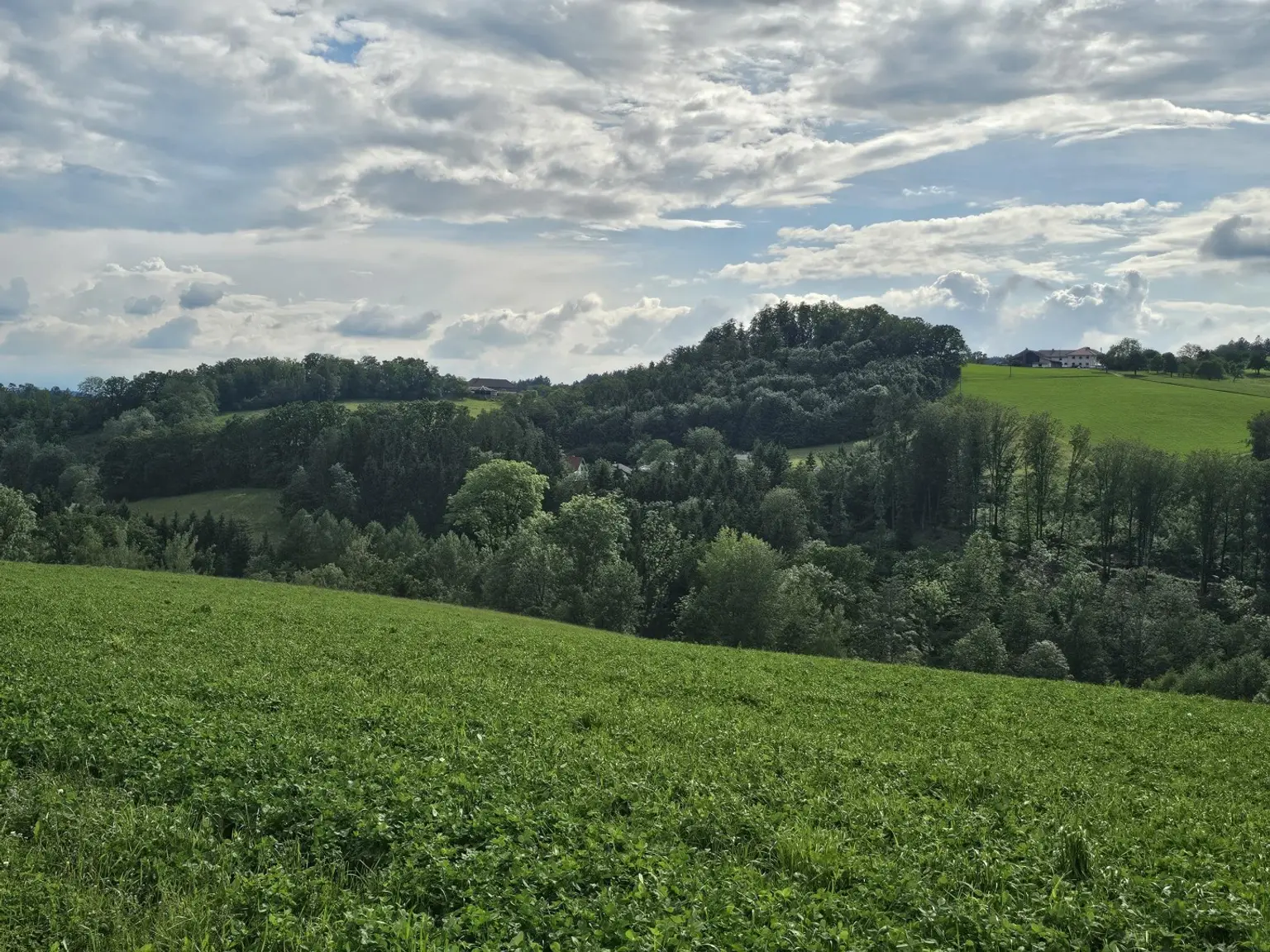 Großzügiges Grundstücksareal für Investoren, Bauträger, privaten Wohnbau