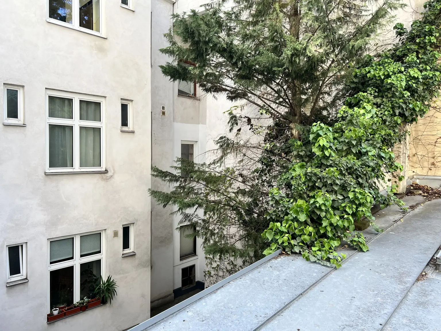 Ausblick Küche