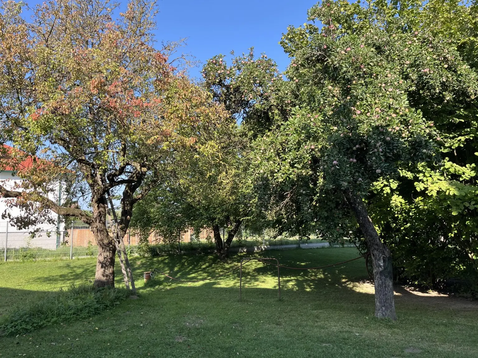 Sehr viel Platz im Haus und auch im traumhaften Garten