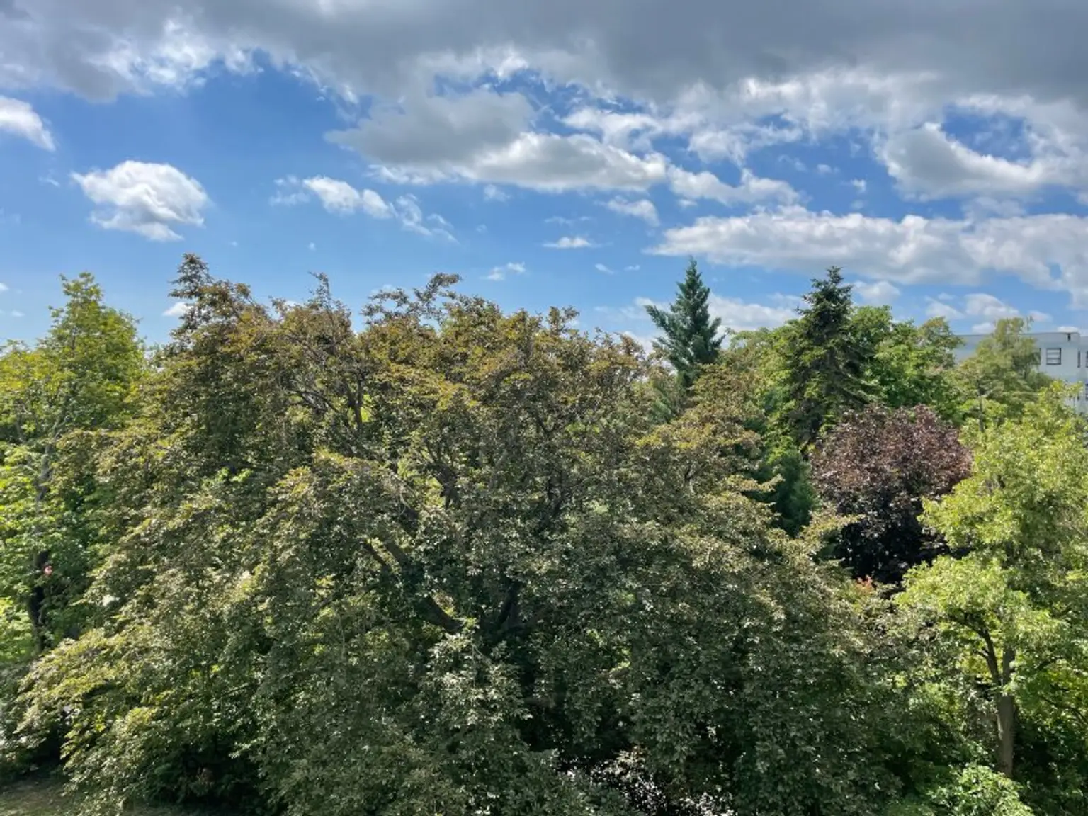 Maisonettewohnung mit 3 Schlafzimmer und wunderschönem Ausblick