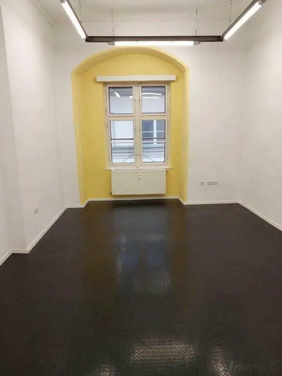 Provisionsfrei: Altbau-Großgarcionerre  in der Innenstadt zwischen Glockenspielplatz und Dom