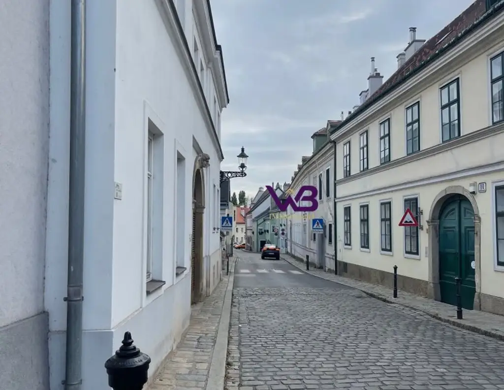 1190 Wien, Zinshaus komplett leer, entkernt!