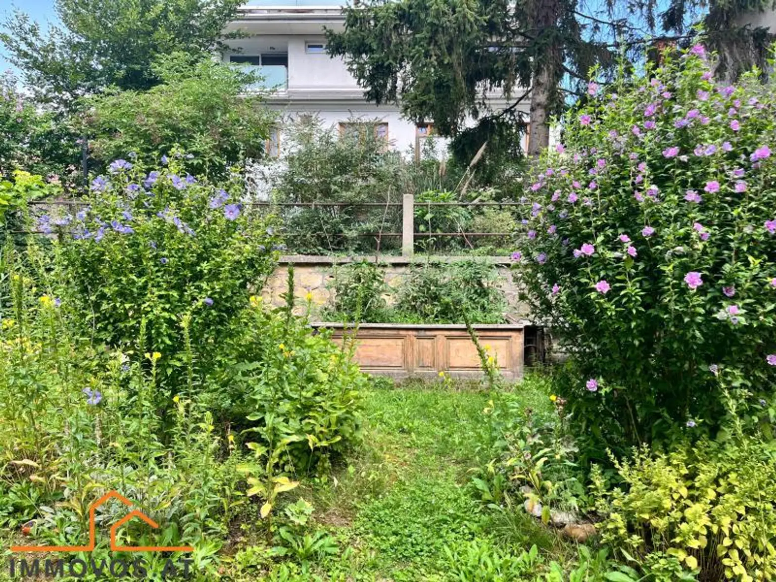 Garten .jpg