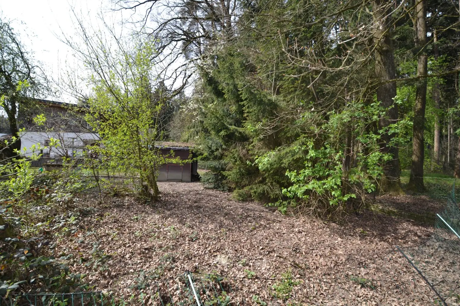 Garten für Hühner