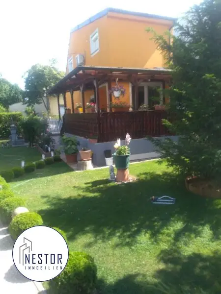 Einfamilienhaus - NESTOR Immobilien