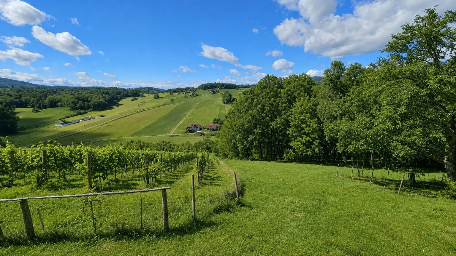 Blick zum eigenen Wald und Hügellandschaften