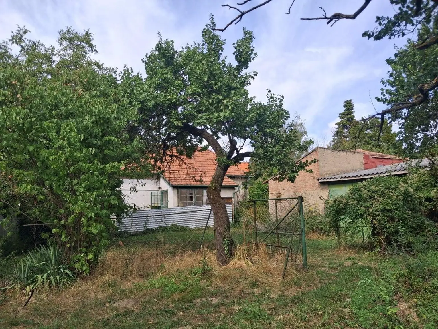 11 Grundstück mit Altbestand 7053 Hornstein