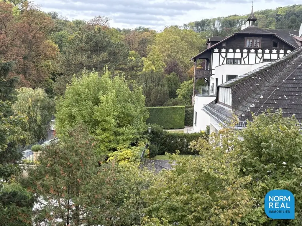 Dachgeschoss am Pötzleinsdorfer Park
