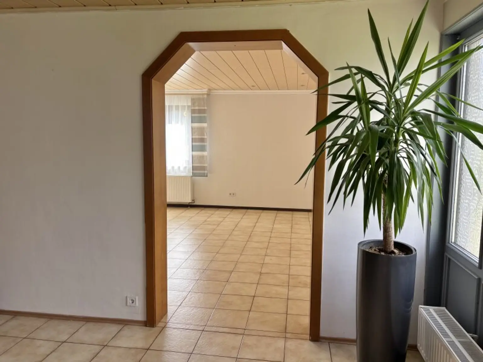 ** FAMILYS BEST **   Reinersdorf !! Bungalow mit ca. 122 m2 Wfl. in ruhiger, idyllischer Ortsrandlage mit ca. 1.200 m2 Eigengrund !!