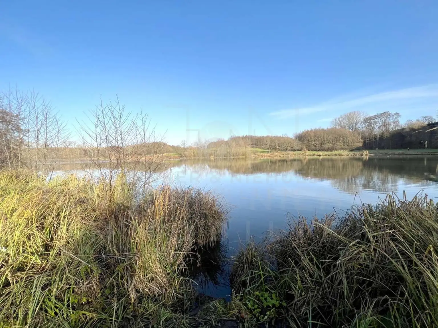 Obersee in unmittelbarer Nähe