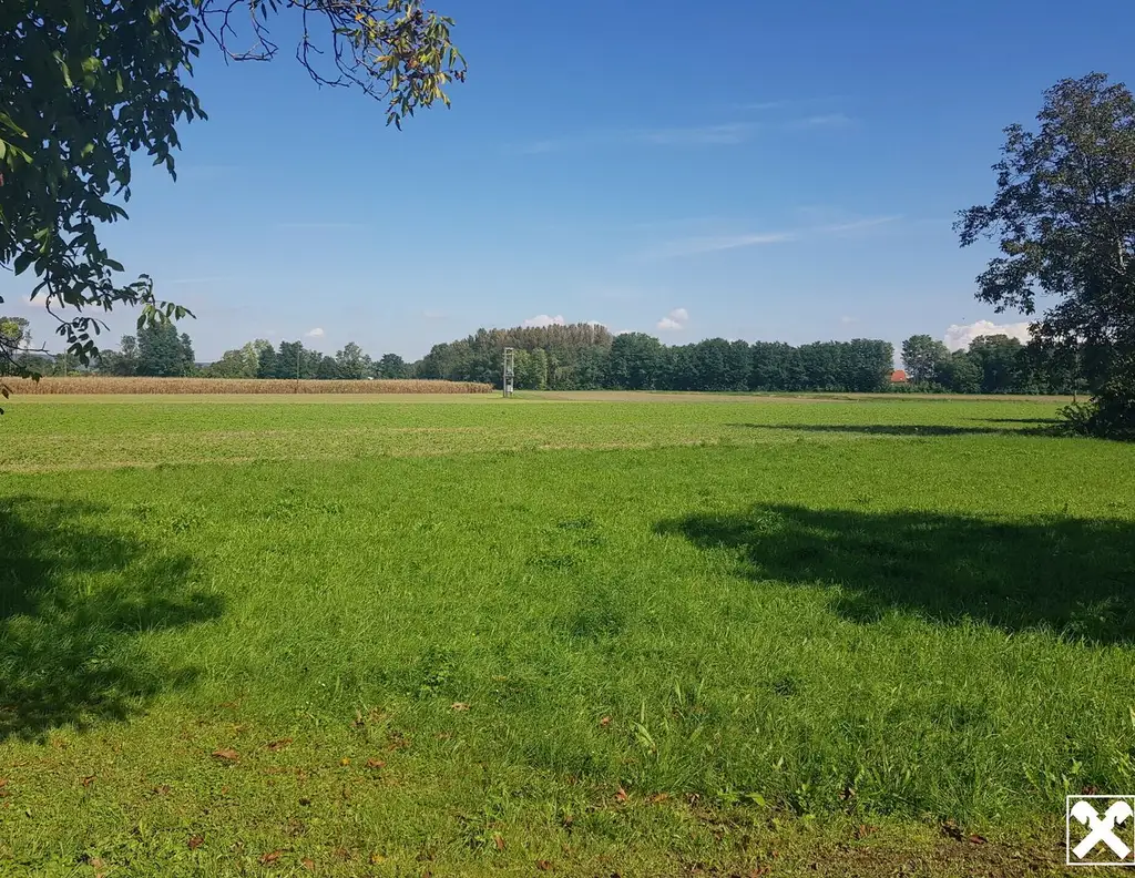 GELDANLAGE OHNE BAUZWANG, PROJEKTLIEGENSCHAFT ODER IHR BAUGRUNDSTÜCK FÜR IHR TRAUMHAUS?