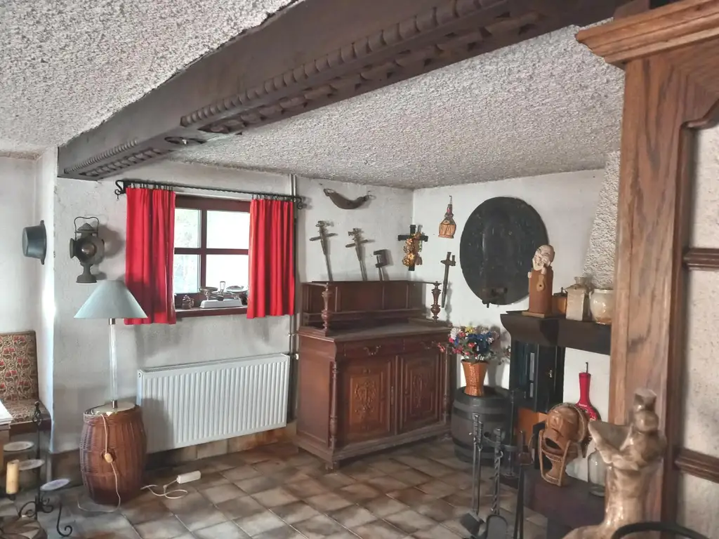 LANDHAUS MIT GROSSEM, SONNIGEN GRUND AM WALDRAND