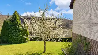 Gartenblick